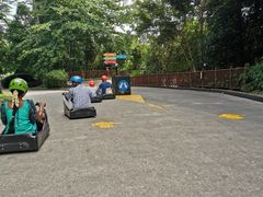 -圣淘沙天际线斜坡滑车