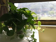 -百里峡七彩艺术小镇