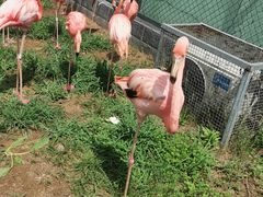 -秦皇岛野生动物园
