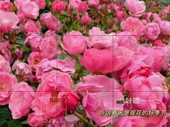 -杭州城北体育公园