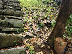 -终南山南五台景区