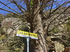 -大慈岩风景区