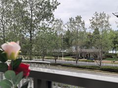 -宝荣鱼馆·临湖之宴(千岛湖店)