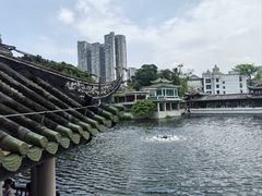 -荔湾湖公园