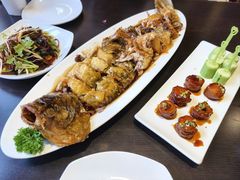 -老牌坊鲁菜名店(聊城美食岛店)