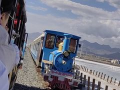 -青海茶卡盐湖文化旅游发展股份有限公司