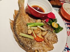 -蚝魁·海鲜大排档·啫啫·生蚝(体育西店)