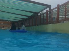 -上海玛雅海滩水公园