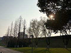 -天目湖山水园