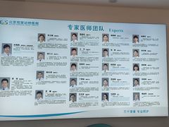 -北京观赏动物医院·24小时大型综合·猫专科·异宠专科