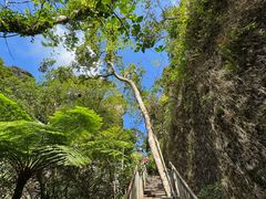 -七仙岭温泉国家森林公园