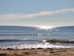 -小两口锦州烧烤·脆皮油边(依云北郡店)