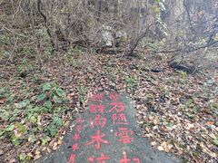 -王顺山国家森林公园