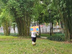 -堤角公园