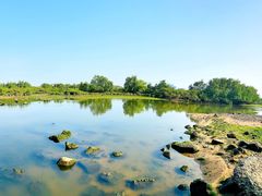 -北海金海湾红树林生态旅游区