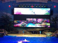 -海合安武汉极地海洋公园