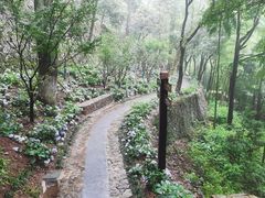 -莫干山风景区