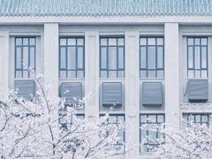 -武汉大学-樱园