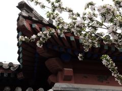 -北京鲁迅博物馆(北京新文化运动纪念馆鲁博馆区)
