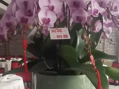 -富淳饭店(陆家嘴保利广场店)