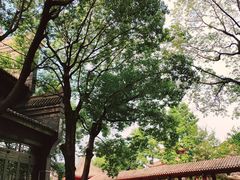 -龙潭水乡
