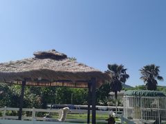 -宁波九龙湖开元度假村