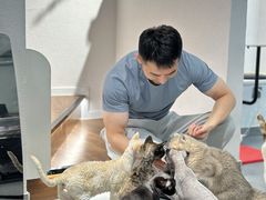 -琪喵猫屋·撸猫猫咖·猫舍