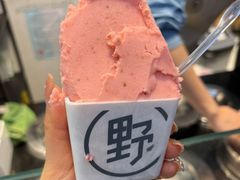 -野人先生现做冰淇淋(西安赛格店)