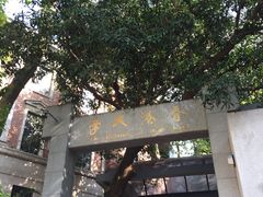 -香港大学