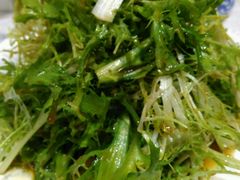 凉拌苦菊-京味民福烤鸭店(建设四马路店)
