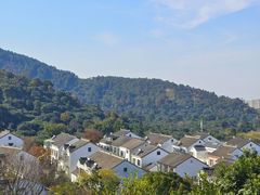 -树山生态村