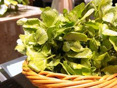 西洋菜-官也街澳门火锅(新源里店)