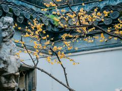 -个园