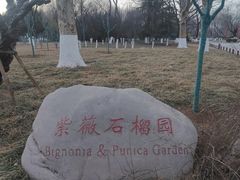 -济南植物园