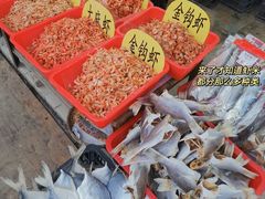 -大湾区中央湿地公园-十九涌