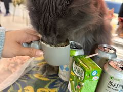 -平行世界·猫咖(首经贸店)