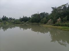 -桤木河湿地公园