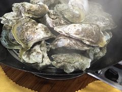 -蚝专家(北滘店)