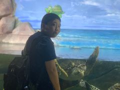 -福州罗源湾海洋世界旅游区