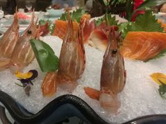 -沪碟·精菜坊(闵行店)