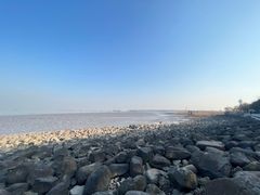 -上海吴淞炮台湾国家湿地公园