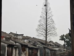 -乌镇东栅景区