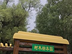 -黑龙江省森林植物园