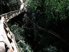 -鹿院坪生态旅游景区