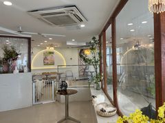 -共舞时光猫咖·狗咖(新街口店)