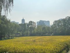 -长兴太湖图影湿地文化园
