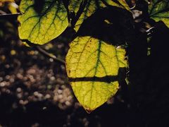 -南京市江宁方山