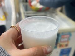 -洪馨椰子