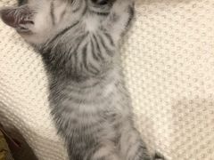 -上海市松江区中心医院