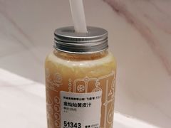 -野萃山·潮汕厚果汁(十亩地店)